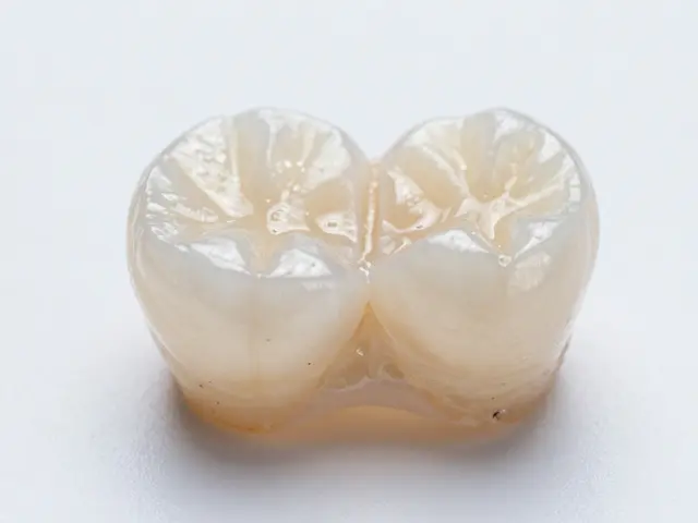 Cena zubní korunky 2026: Kolik to skutečně stojí a co ovlivňuje výslednou částku?